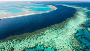 Australien Great Barrier Reef Riff von oben Foto iStock Itos